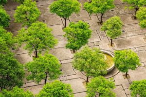 La nature aux Sorinières : gardons notre identité !